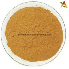 Natural Apple Extract Phloridzin Powder